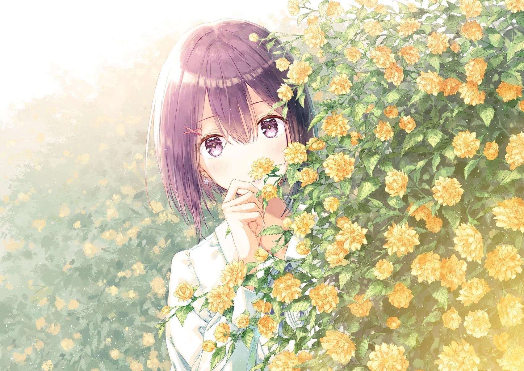 100 Anime Flower Wallpapers Wallpapers Com
