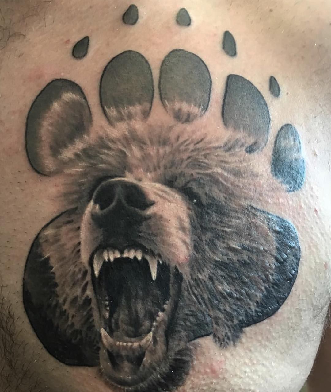 101 Best Bear Paw Tattoo Ideas You Ll Have To See To Believe Artofit 101 Best Bear Paw Tattoo Ideas You Ll Have To See To Believe Artofit