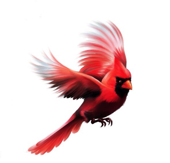 15 Cardinal Tattoo Designs To Symbolize Love And Hope