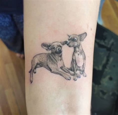 15 Trendy Tattoo Ideas Chihuahua Owners Will Love The Paws