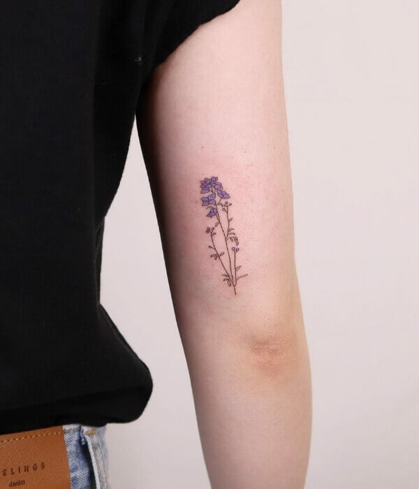 20 Gorgeous Larkspur July Birth Flower Tattoo Ideas