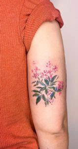 70 Beautiful Tattoo Designs For Women Oleander Flower I Take You 70 Beautiful Tattoo Designs For Women Oleander Flower I Take You