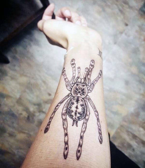 70 Tarantula Tattoos For Men