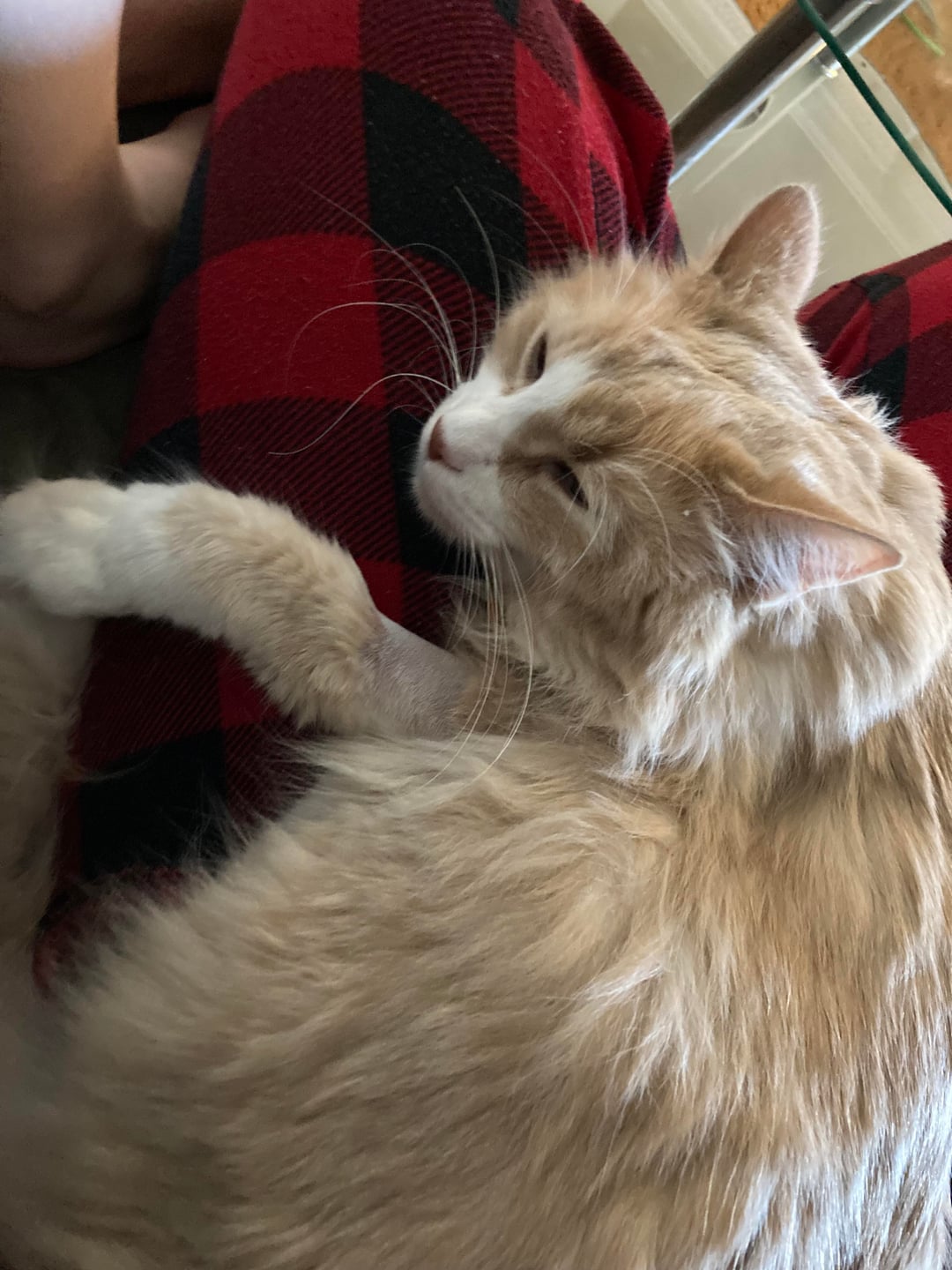 Amber Rose Nude Scandal Model Spent Days Crying After Explicit Photo Leak Cost Her A Business Deal New York Daily News