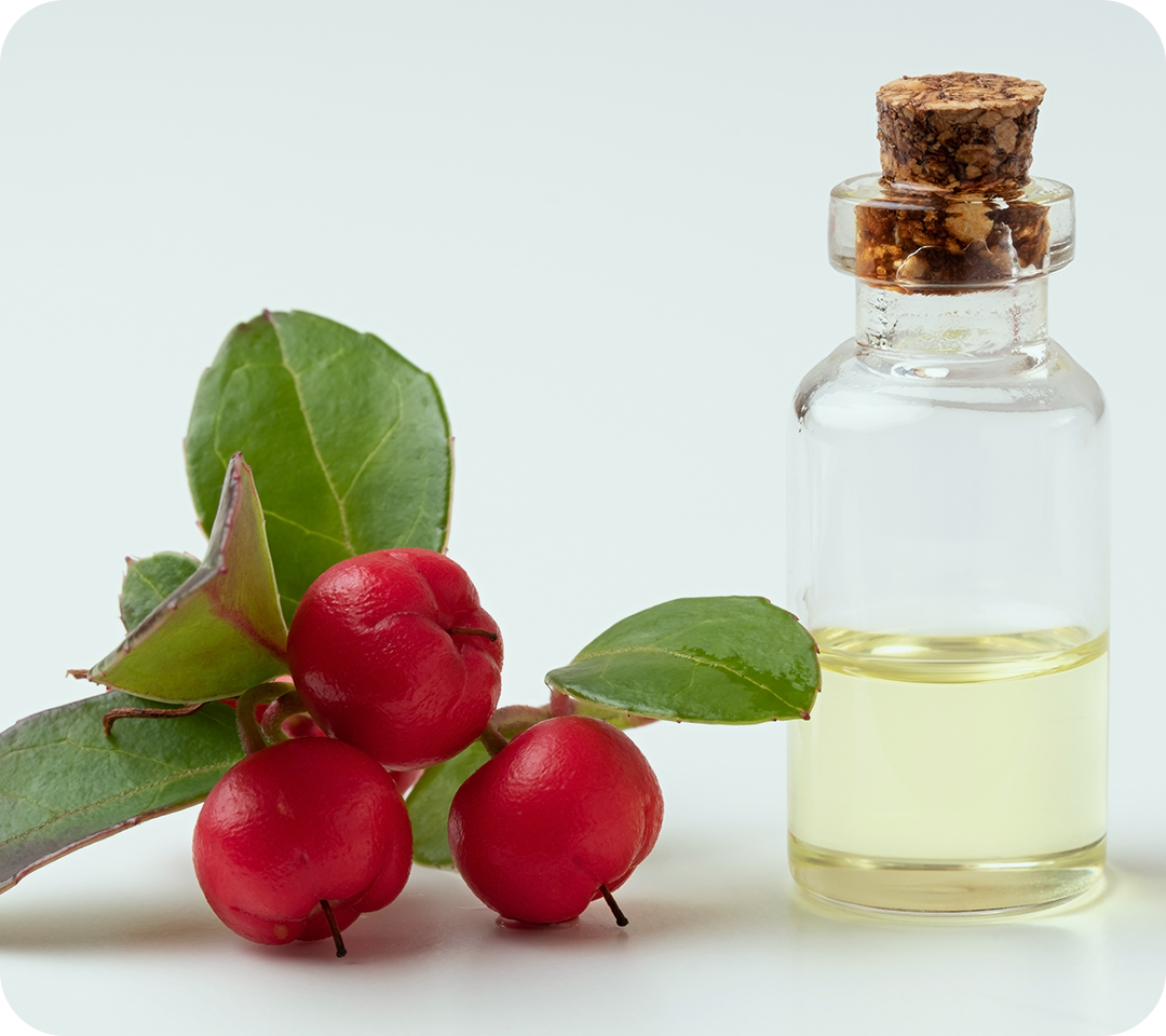 Best Lotion For Tattoo Aftercare Fast Healing Amp Relief 2022 Best Lotion For Tattoo Aftercare Fast Healing Amp Relief 2022