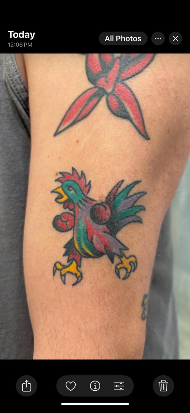 Boxing Rooster Tattoo