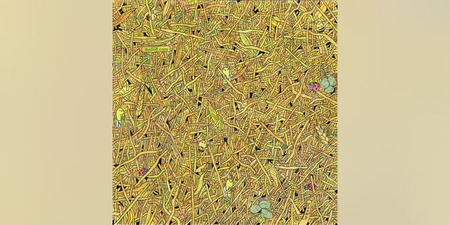 Brain Teaser Can You Find The Sewing Needle In A Haystack