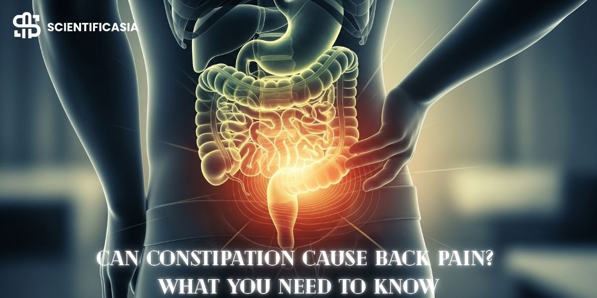 Can Constipation Cause Back Pain What You Need To Know