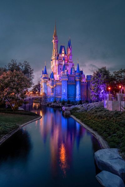 Cinderella Castle Silhouette Disney Art By William Drew Photography
