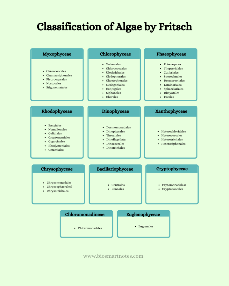 Classification Of Algae By Fritsch Bio Smart Notes