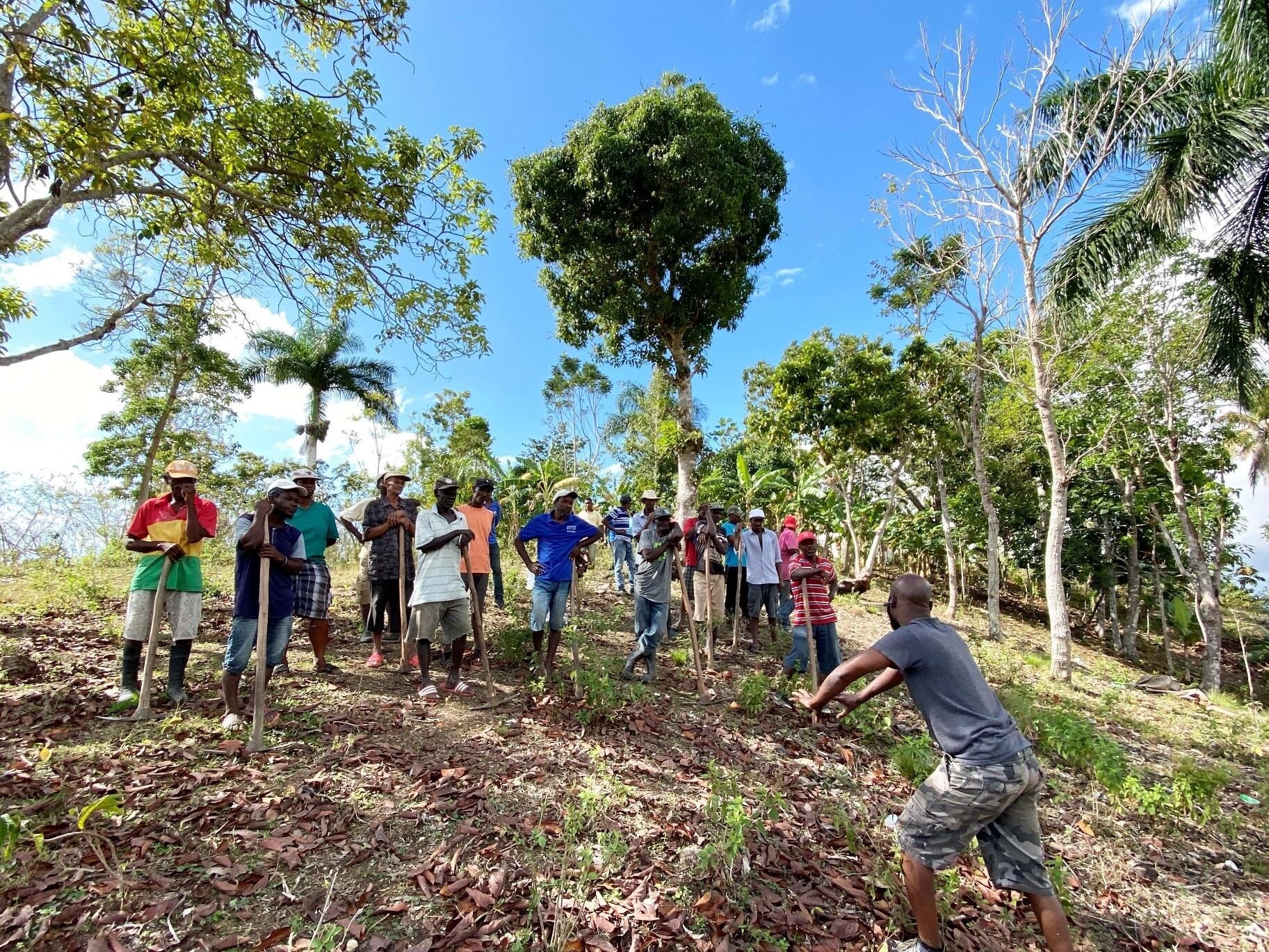 Colombia's Comon International Trade Partners: A Primer For Exporters