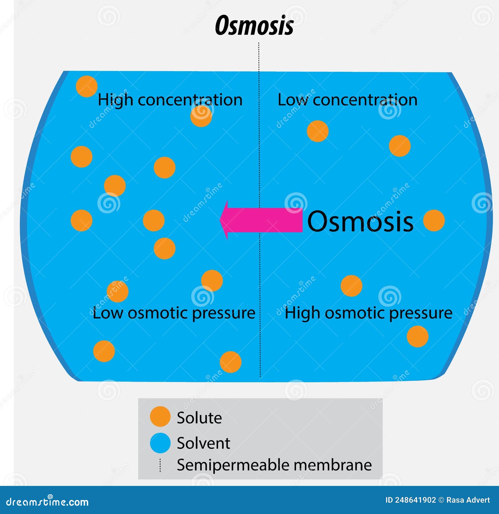 Bust The Myth: Concentration Science Drawing Isn't Magic