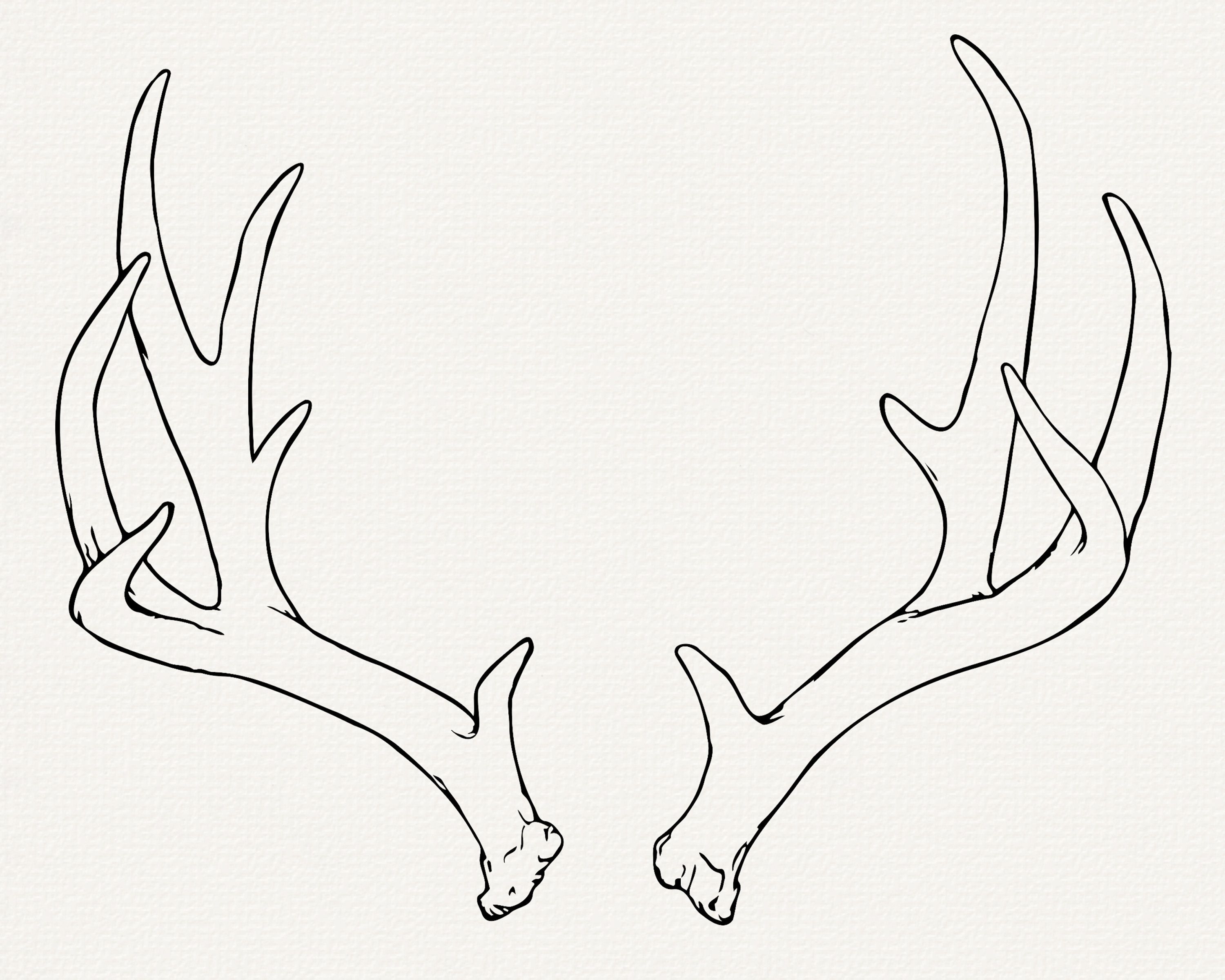 Deer Antlers Tattoo