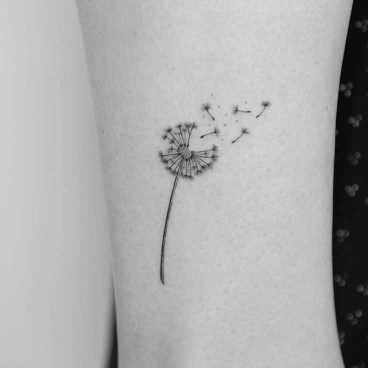 Delicate Fine Line Dandelion Tattoo Located On The