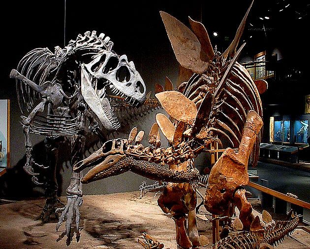 Denver Museum Of Nature And Science