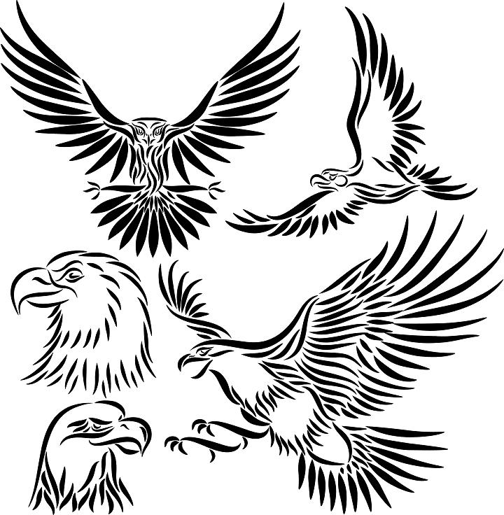 Eagle Tattoo Designs For Men Clip Art Library Eagle Tattoo Designs For Men Clip Art Library