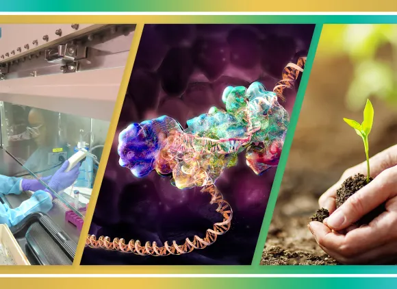 Economic Impacts Of Crispr Cas9 On Biotech Startups And Markets