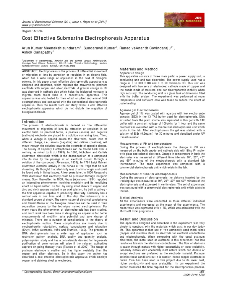 Electrophoresis Gel Cost: A Beginner's Guide To Lab Prices