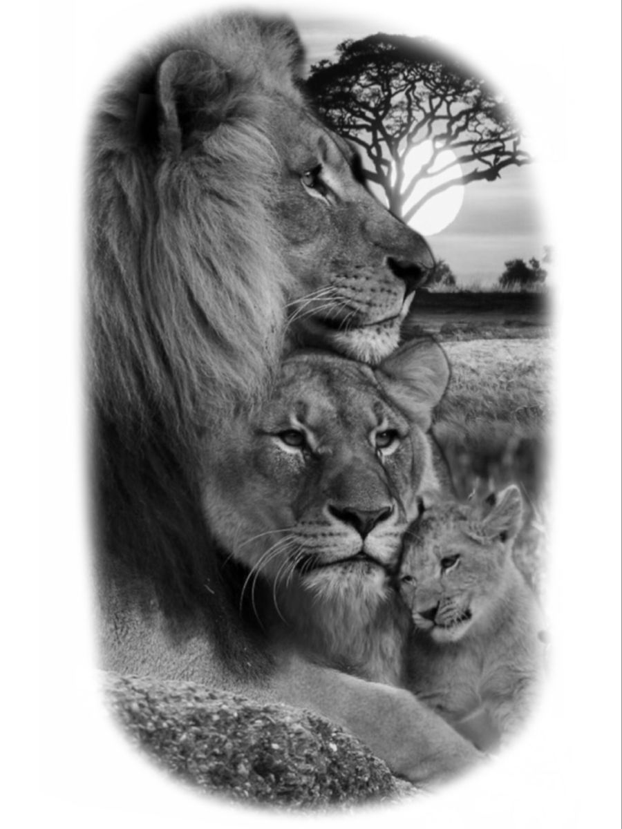 Family Tattoo Designs With Lion Motif