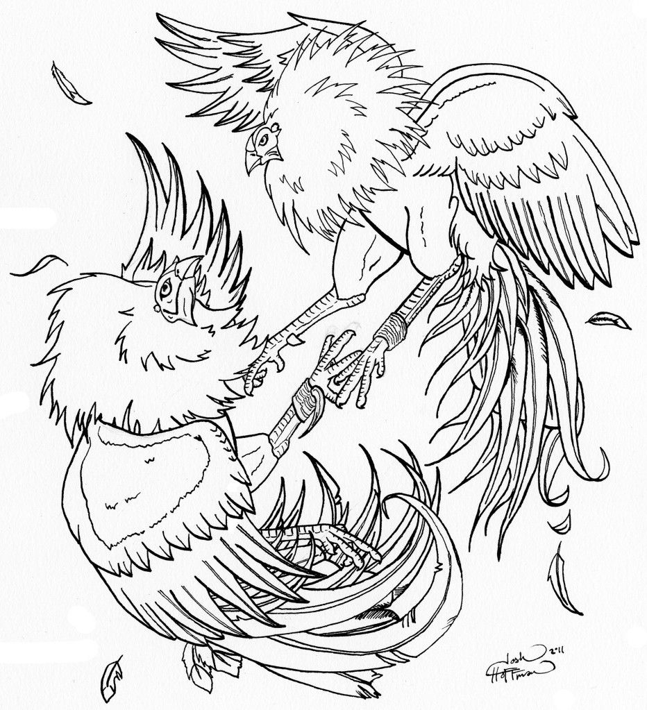 Fighting Roosters Tattoos