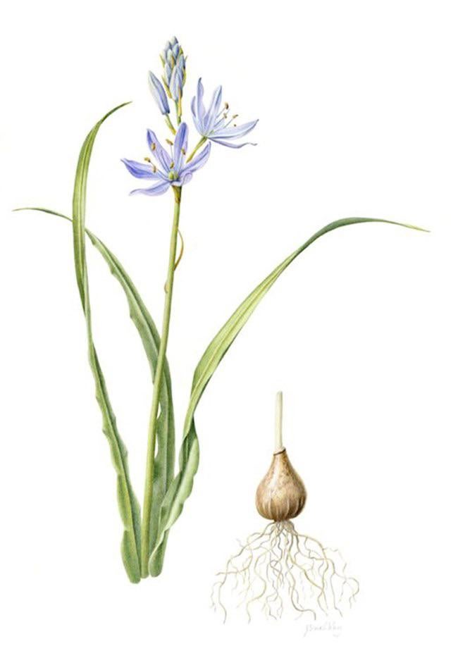 First And Only Tattoo I Paid 100 For It And It Holds A Lot Of Sentimental Value But Looks Like A Kid Drew It With A Thick Ass Sharpie R Shittytattoos First And Only Tattoo I Paid 100 For It And It Holds A Lot Of Sentimental Value But Looks Like A Kid Drew It With A Thick Ass Sharpie R Shittytattoos