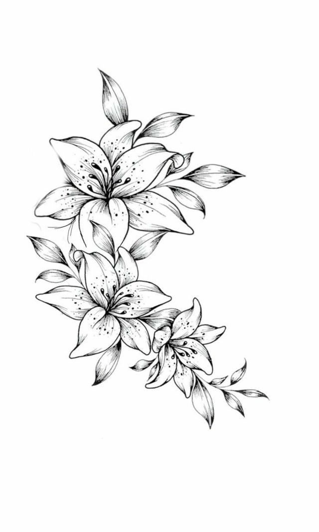 Flower Tattoo Stencils Flower Tattoo Drawings Flower Tattoos Flower Flower Tattoo Stencils Flower Tattoo Drawings Flower Tattoos Flower