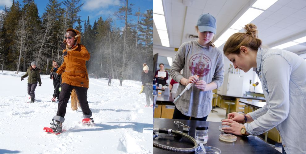 Financial Value Of Forest Ecology Research At Esf: Ecosystem Services