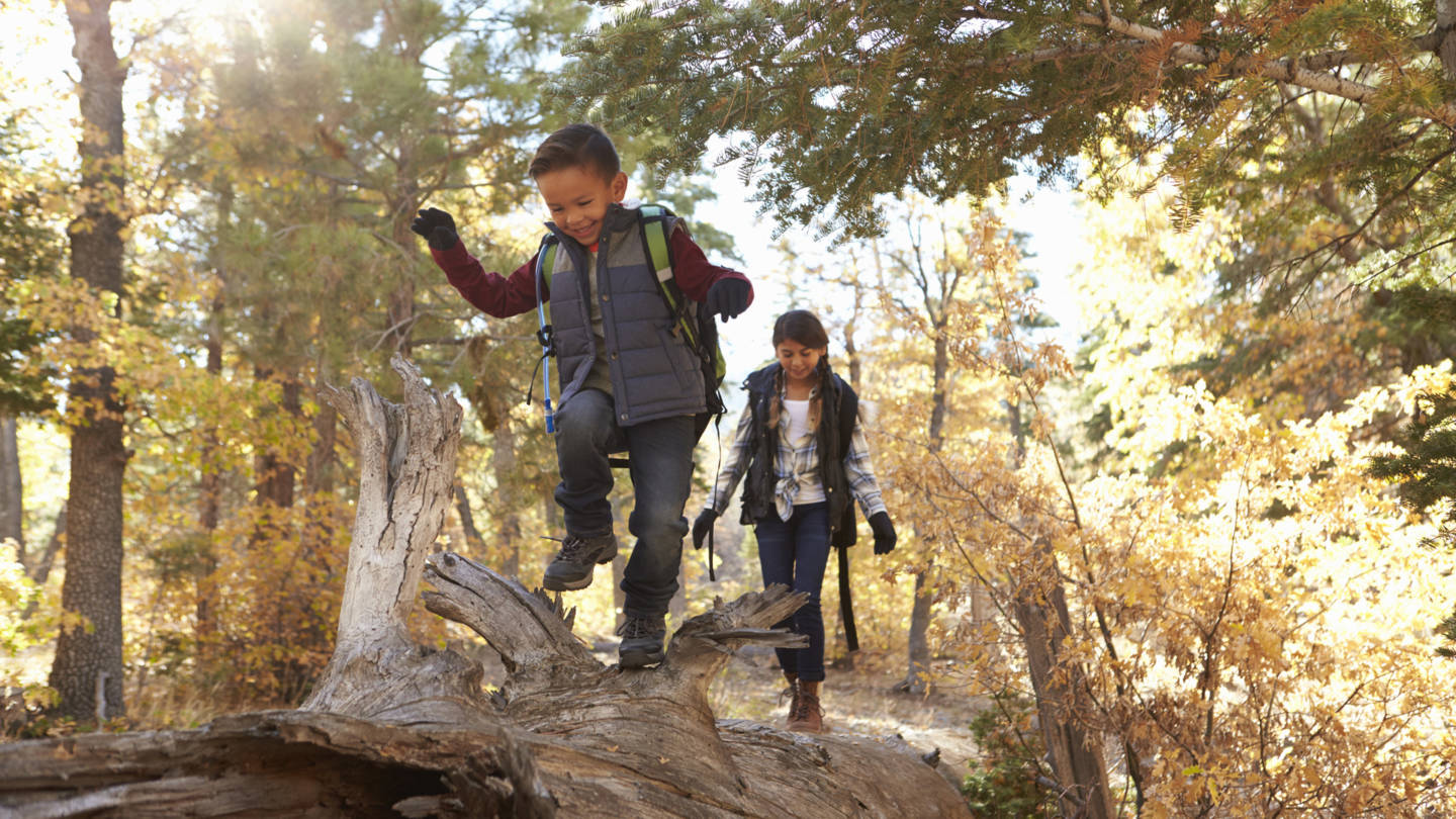 Four Stem Tools To Get Kids Learning And Exploring Outdoors Kqed