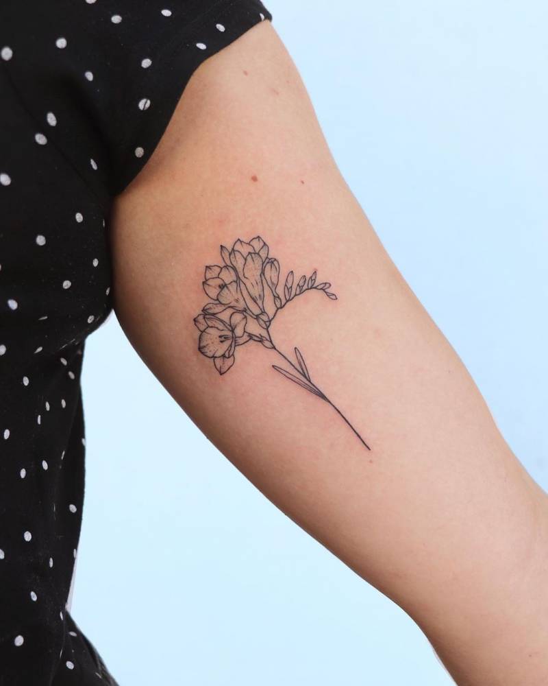 Freesia Flower Tattoo Meaning Best Flower Site Freesia Flower Tattoo Meaning Best Flower Site