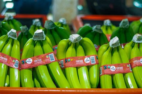 Fresh Del Monte Aims To Sell Fairtrade Certified Organic Bananas In The U S Fresh Del Monte