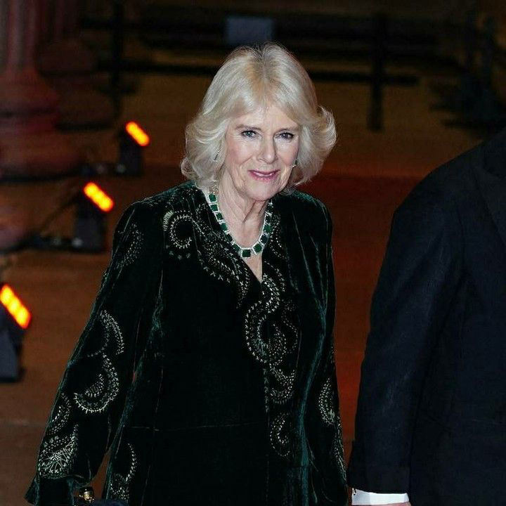 From Amp 39 Rottweiler Amp 39 To Queen Consort Camilla Amp 39 S Rise From Shadow Of Diana