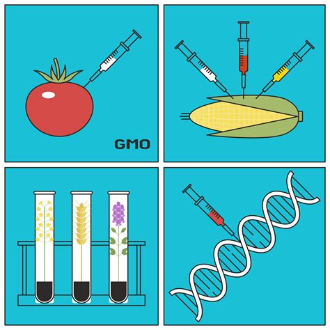 The Future Of Gmo Plants Easy Drawing: Art And Bioengineering