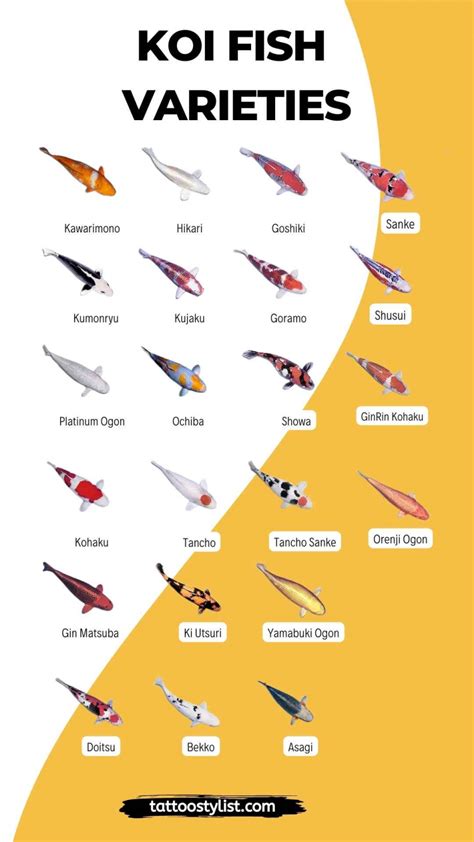 Guide To Koi Fish Tattoo Designs Meaning Color Direction With 80 Guide To Koi Fish Tattoo Designs Meaning Color Direction With 80