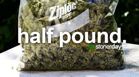 How Many Grams Are In Half A Pound To Grams?