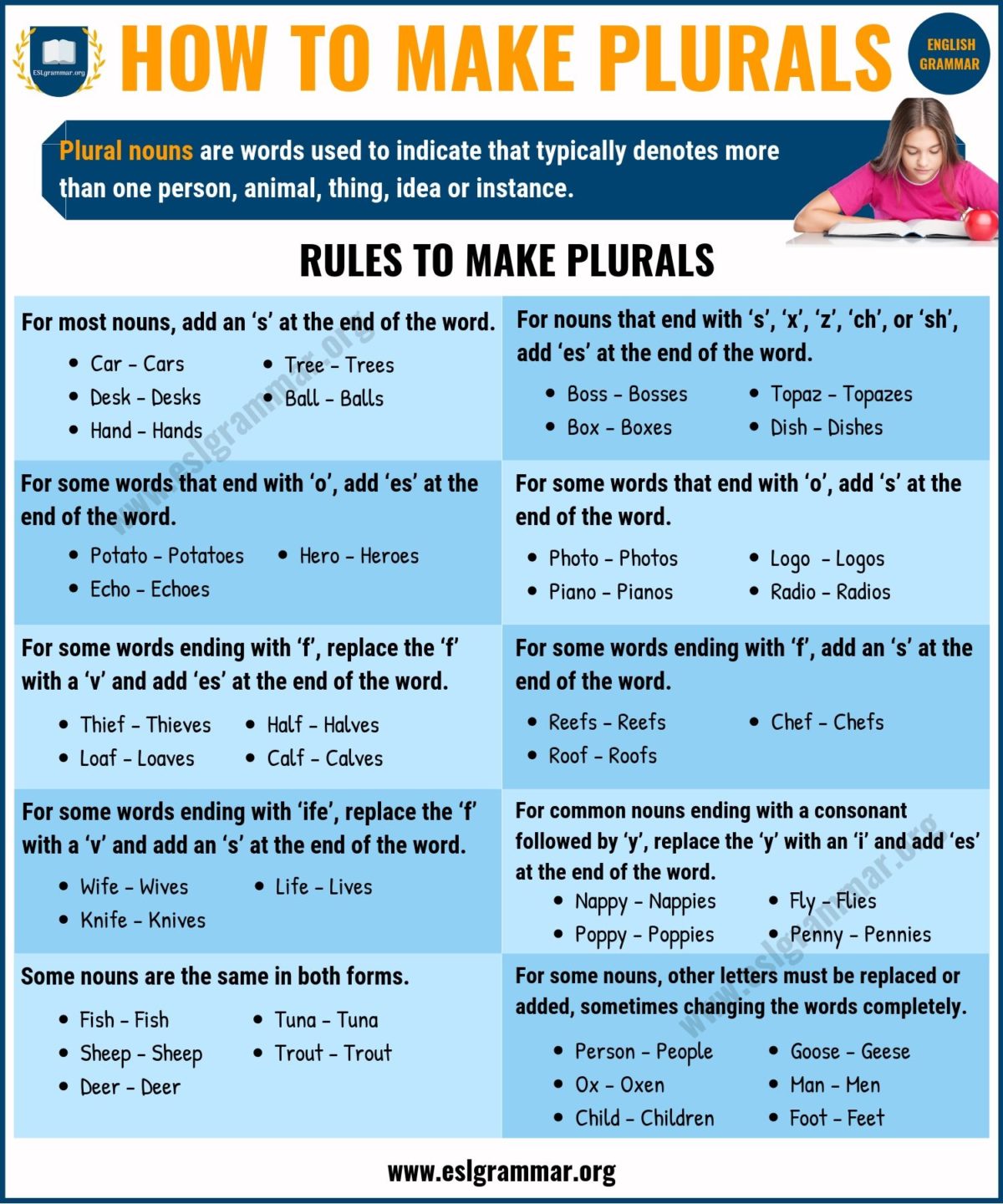 How To Make Nouns Plural In French 13 Examples Language Atlas