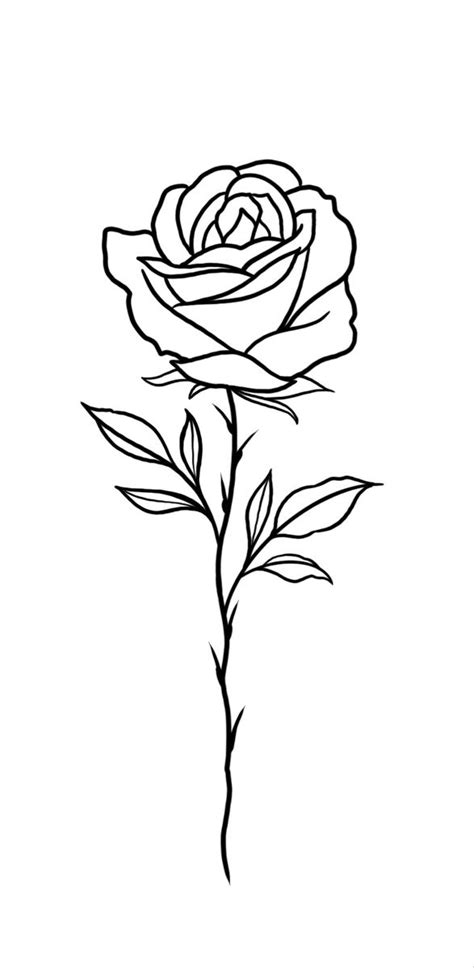 How To Tattoo A Rose For Beginners Free Stencil