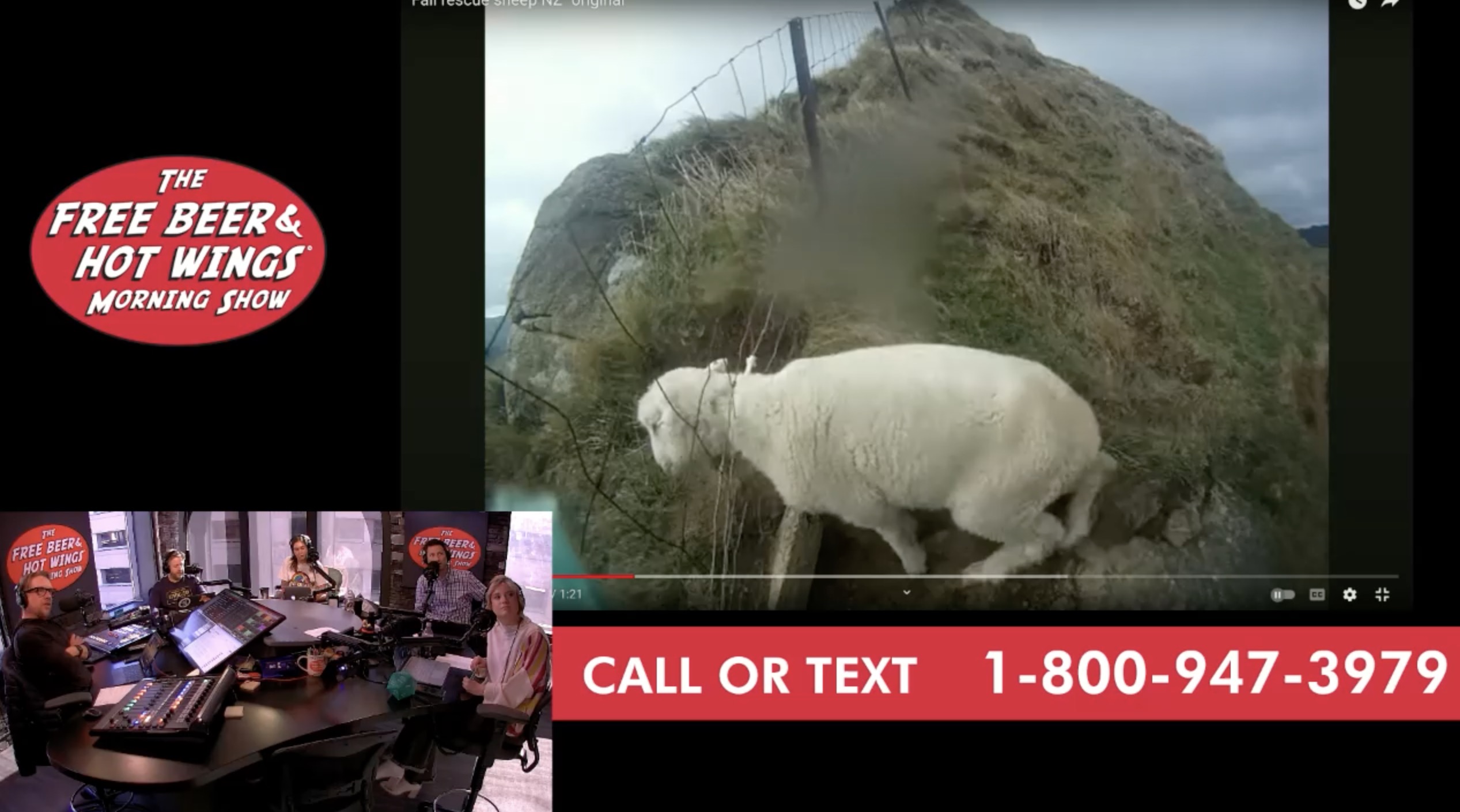 Quickly Master Industry Segment For Goats To Boost Profits