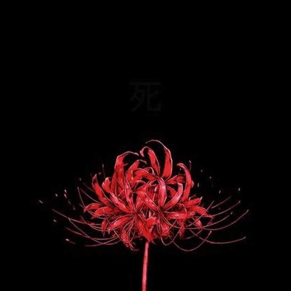 Japanese Flower Of Death