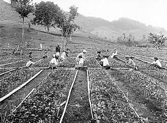 Financing Javanese Agriculture History: Economic Roots And Growth