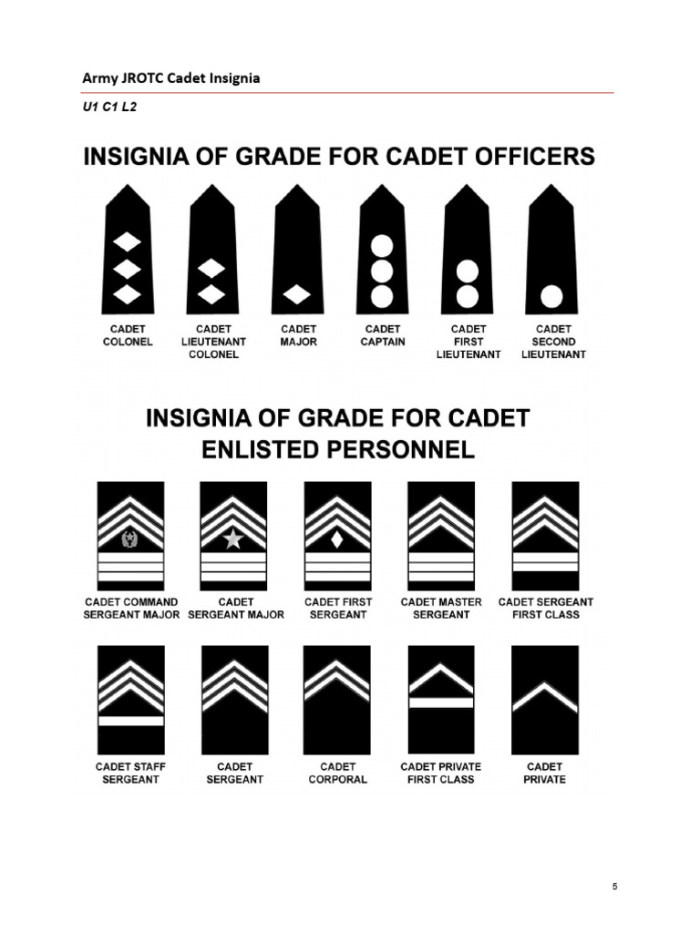 Decode Jrotc Ranks And Meanings For Beginners