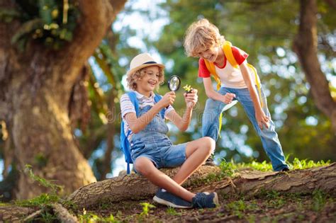 Kids Explore Nature Children Hike In Sunny Park Stock Photo Image Of