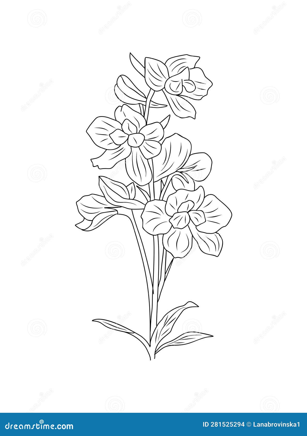 Larkspur July Flower Tattoo Bronctattooaus Com