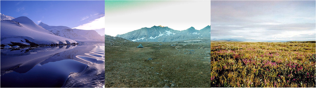 Limitjung Factors Of Tundra Decoded: Survival Science