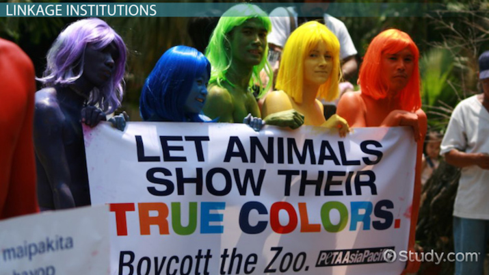 Linkage Institutions Definition Importance Examples Lesson Study Com