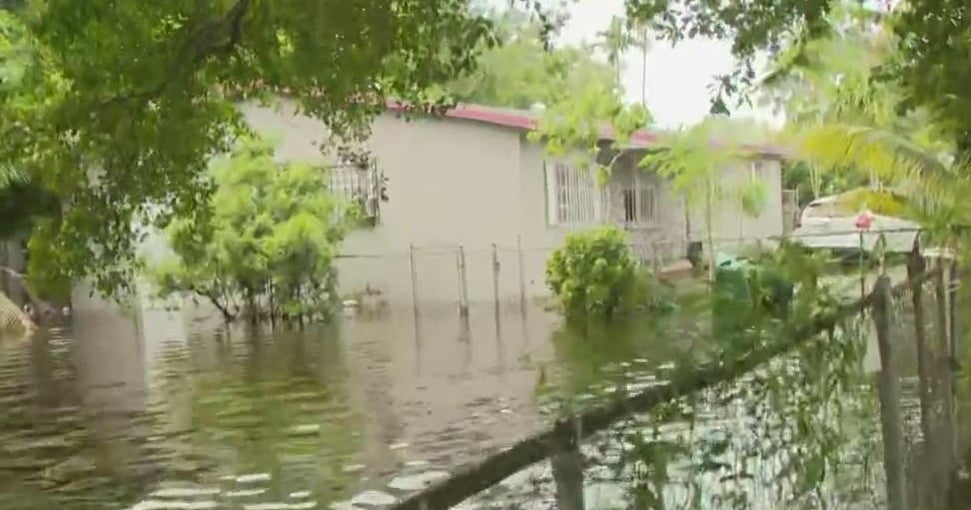 Why Miami Water Retentionsystem Ponds Improve Drainage And Habitat