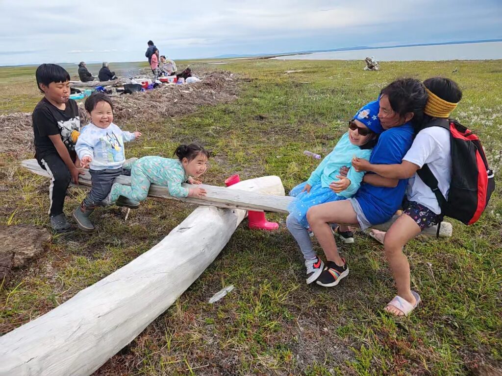 Warning: Mistake To Avoid In Native American Project For Artic