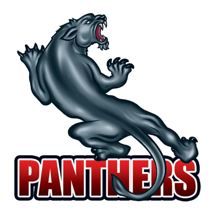Panthers Team 50 Ct California Tattoos Amp Promotional Products
