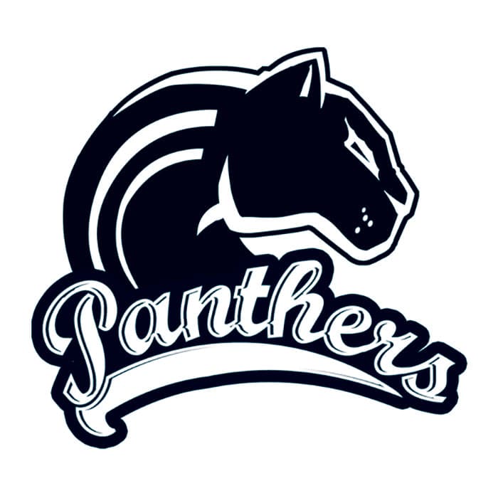 Panthers Temporary Tattoo