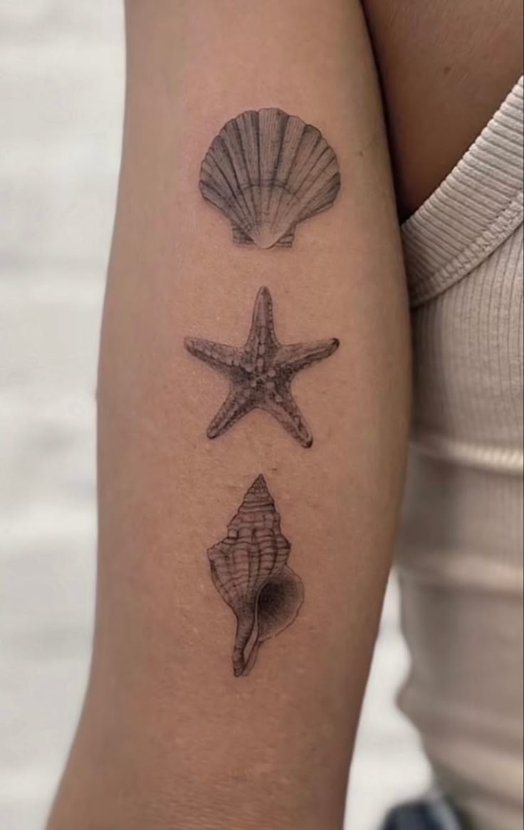 Pin By Jade Morales On Tattoos Piercings Seashell Tattoos Tattoos For Black Skin Shell Tattoos