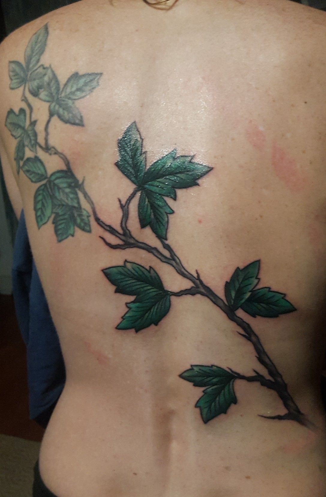 Poison Ivy Vine Tattoo Designs